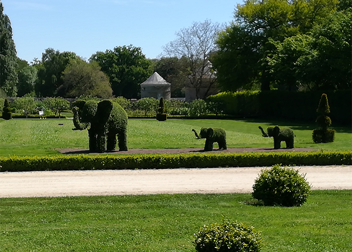 Les petits à la découverte du Zoo