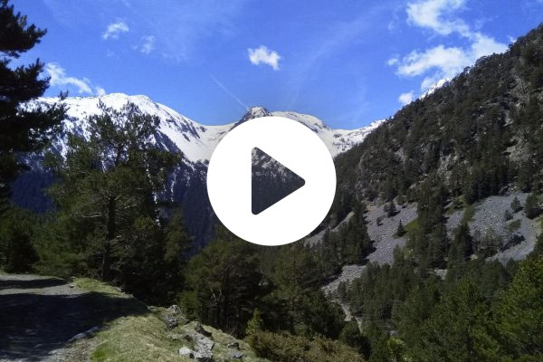 Vidéo du voyage à BODÈRES LOURON